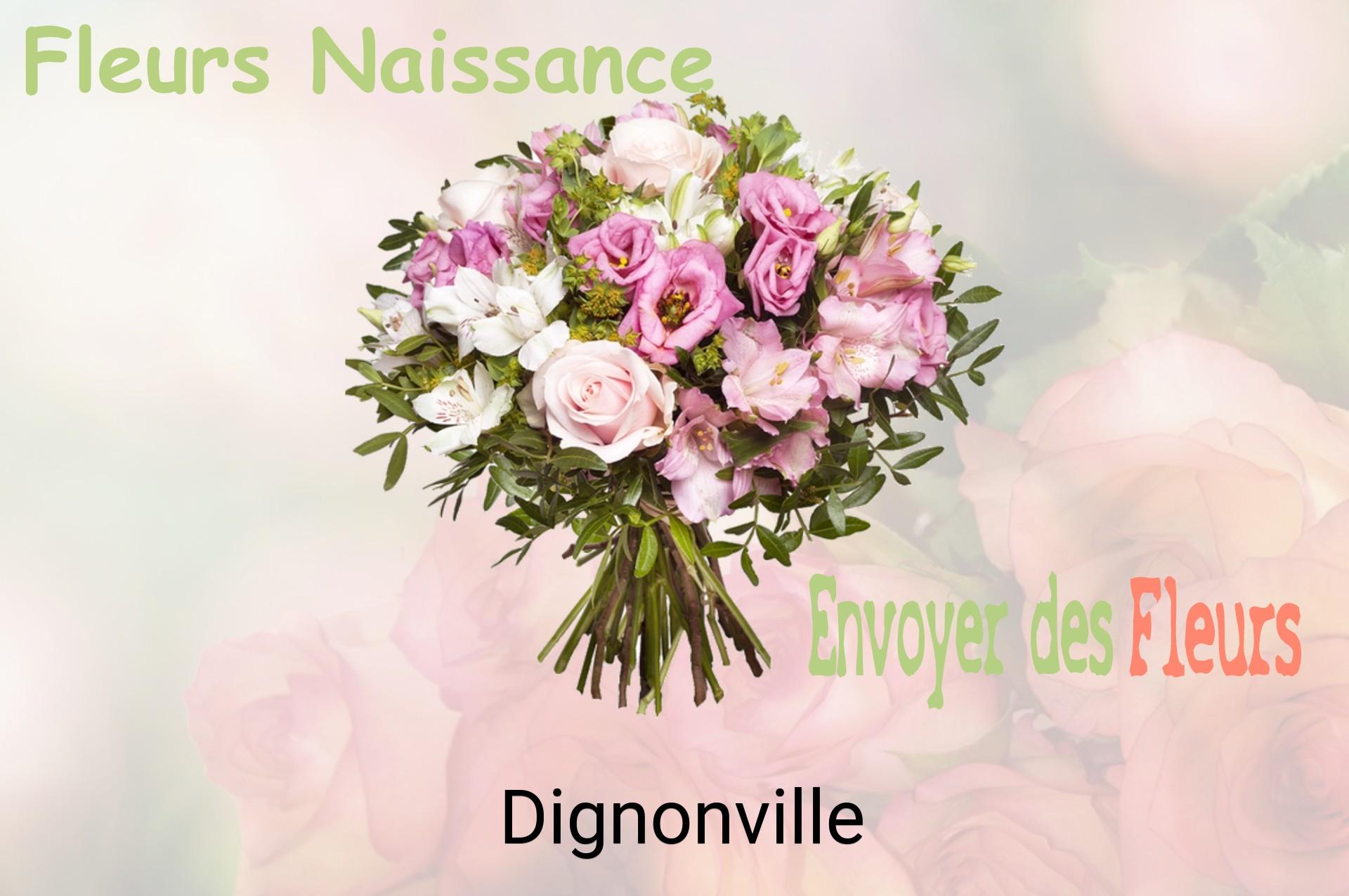 Bouquet de fleurs de naissance livré à Dignonville