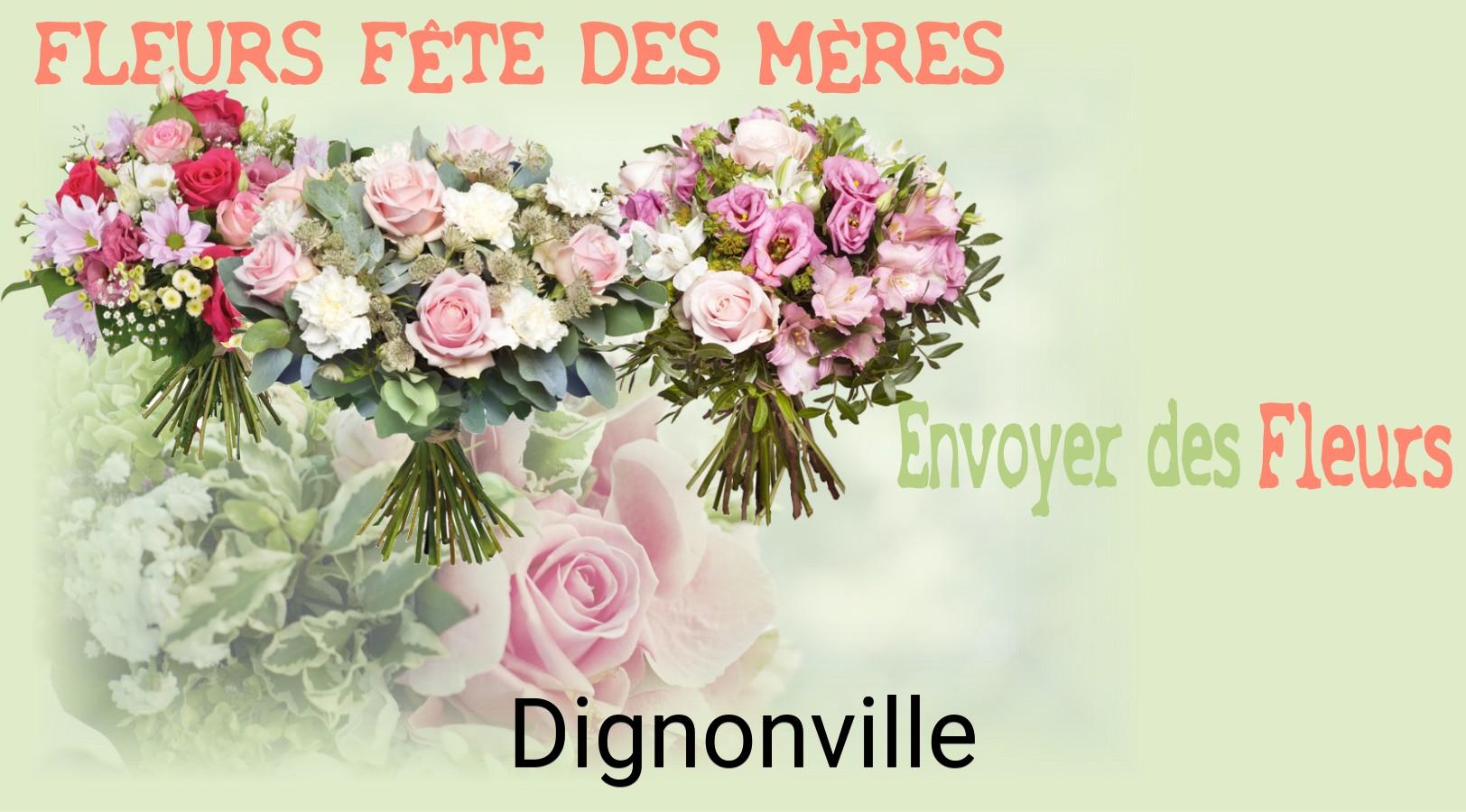 Bouquet de Fête des Mères livré à Dignonville